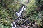 PICTURES/Killarney National Park - Torc Falls & Muckross Abbey/t_DSC00174.JPG